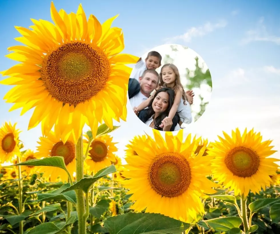 This Summer, I’m Finally Visiting a Sunflower Farm in New Jersey And You Should Too