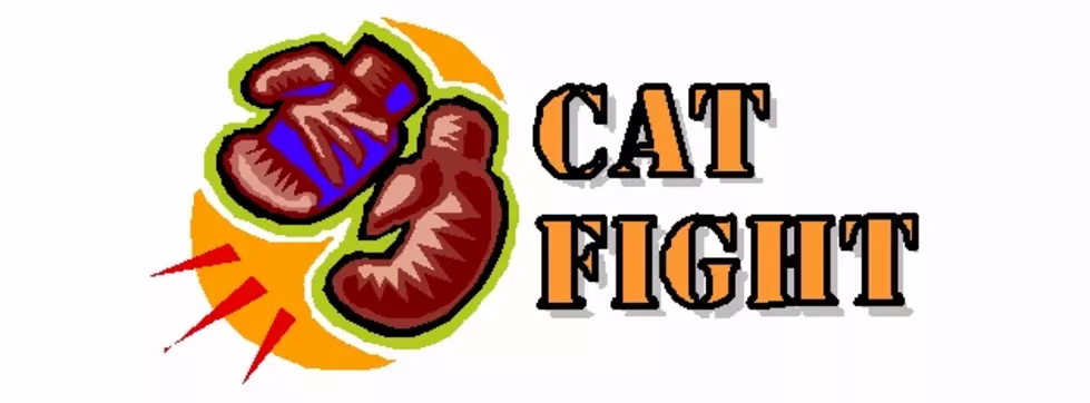 Cat Fight: Phil Vassar versus Zac Brown Band [POLL]