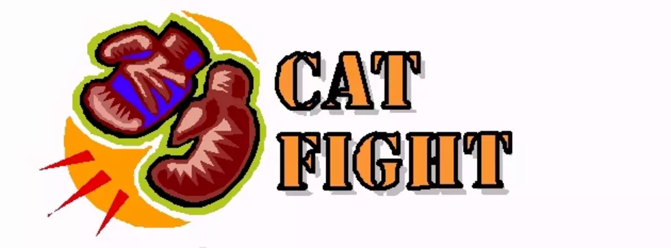 Cat Fight: Phil Vassar versus Bucky Covington [POLL]