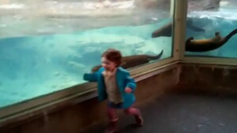 Local Girl Runs Away From Pack Of Otters! [VIDEO]