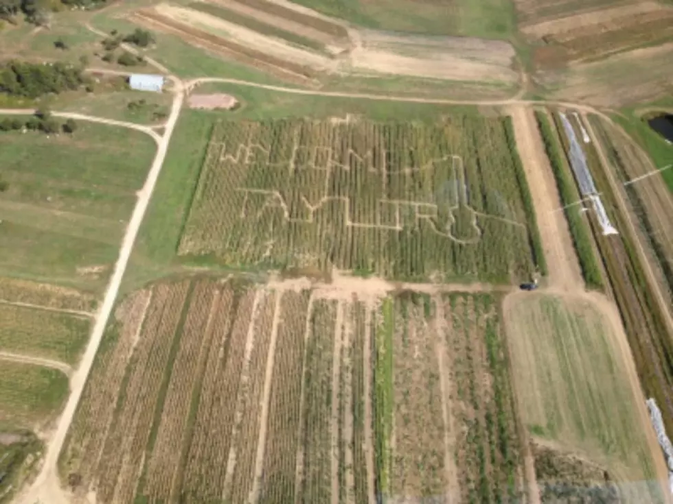 Taylor Swift Gets A Personalized Corn Maze