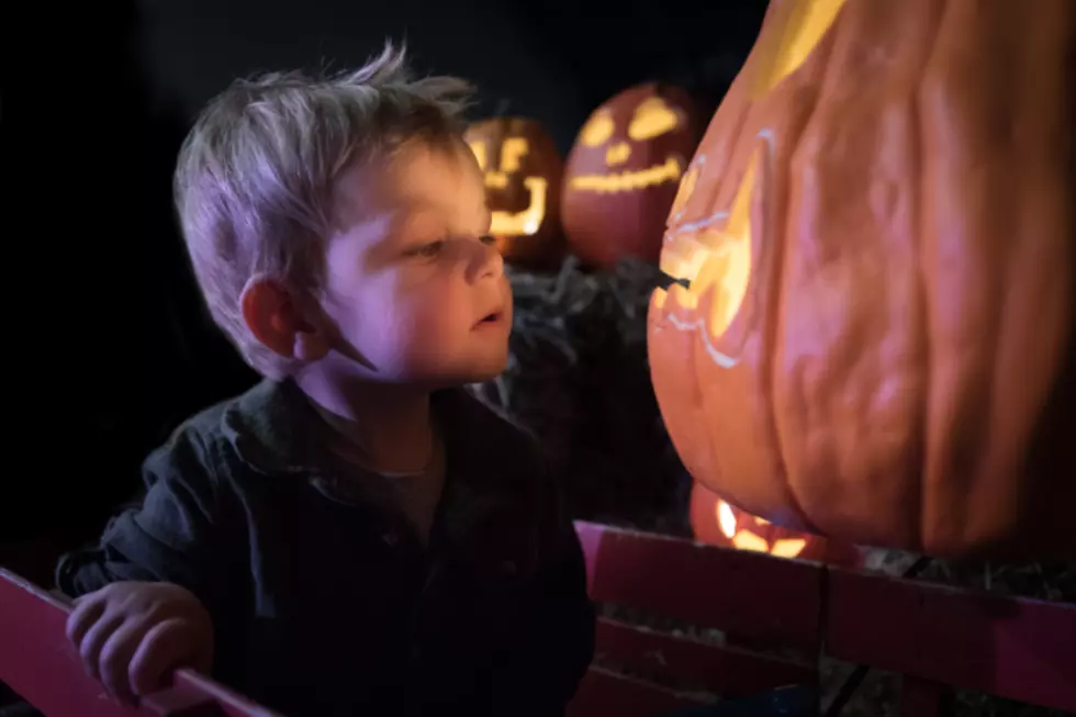 Expiring Soon — Grab Your Discount to THE GLOW: A Jack O’Lantern Experience