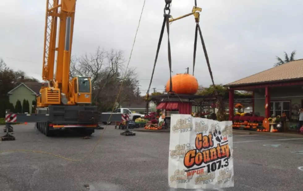 Win $1,000 CASH With the Cat Country 2016 Great Pumpkin Drop