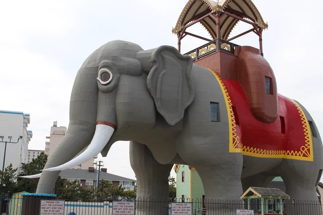 Lucy the Elephant Named Oddest Tourist Spot in NJ by Website