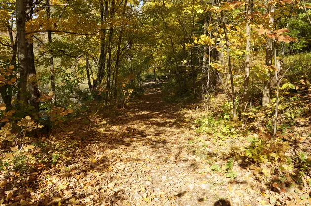 Best Trails in South Jersey