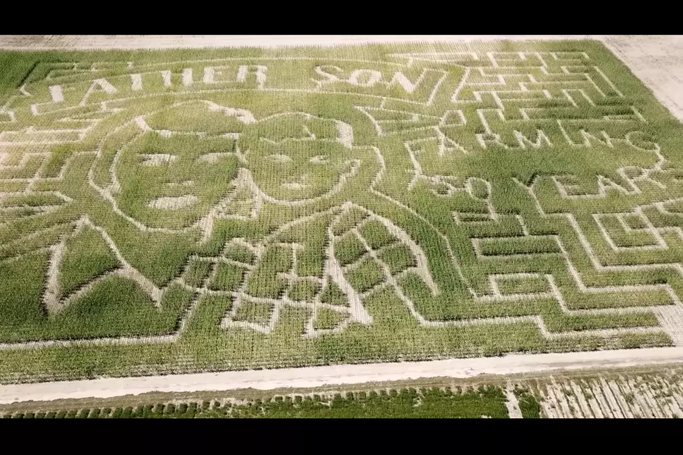 Galloway Farm’s Corn Maze Celebrates Their 150th Anniversary