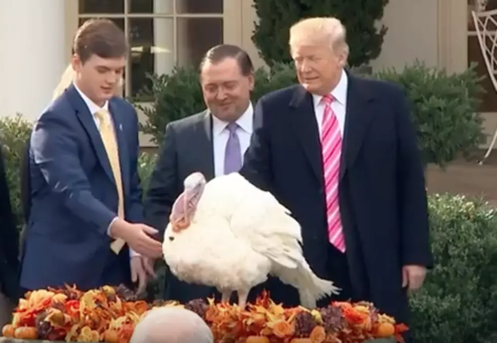 President Trump Pardons His First Thanksgiving Turkey [VIDEO]