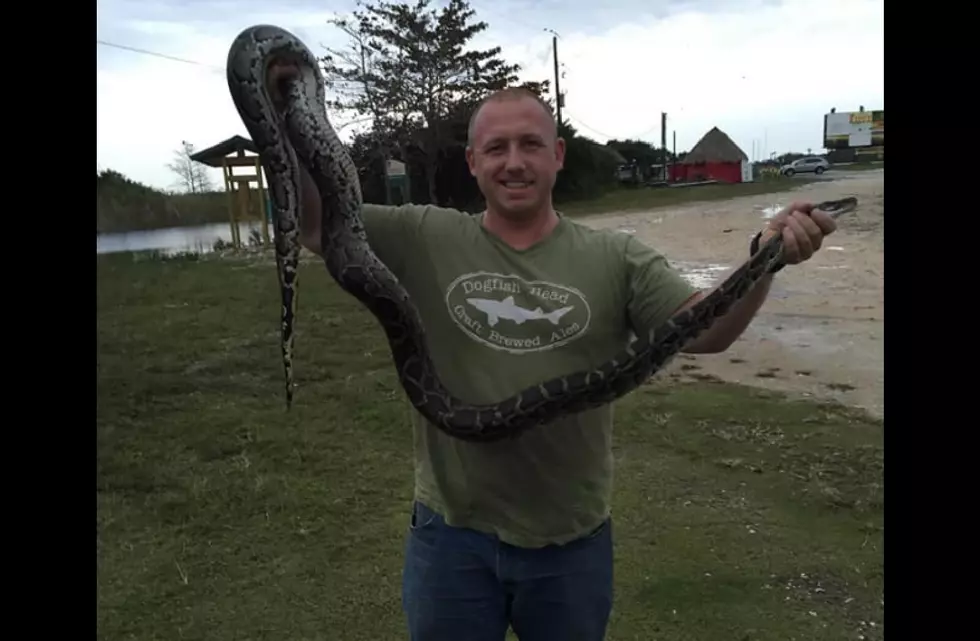 Hamilton Township Police Troll Mullica Gator With Snake