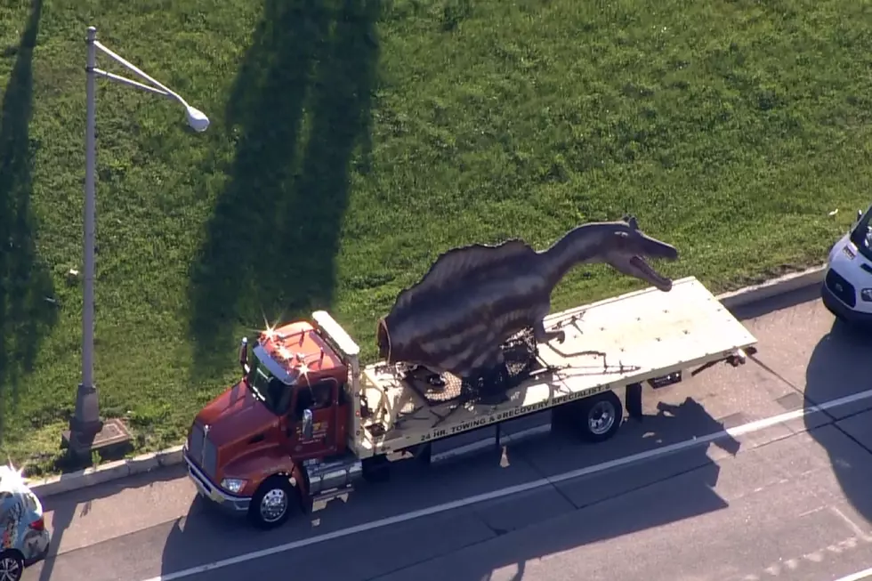 Giant Dinosaur Makes Its Way to Philly in New Video
