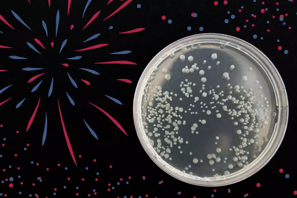 South Jersey Microbiologist At It Again: 4th Of July Germ Art