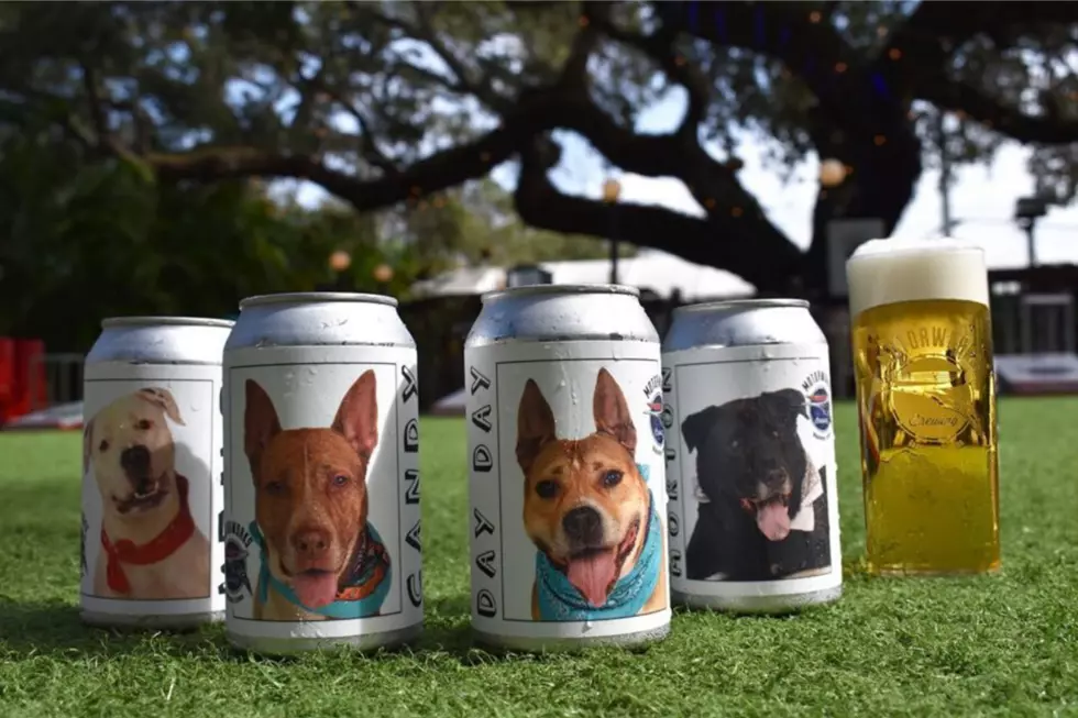 Hey New Jersey Breweries, You Should Put Shelter Dogs on Your Cans