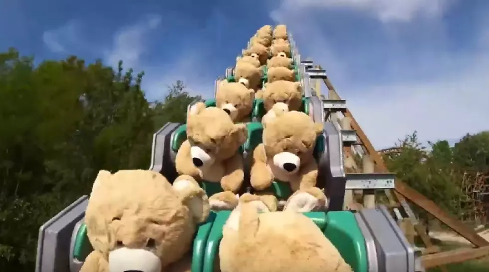 Best Quarantine Video: Roller Coaster Riding Teddy Bears
