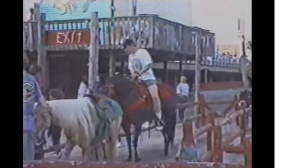 Remember Horseback Riding Next To Morey’s Pier?