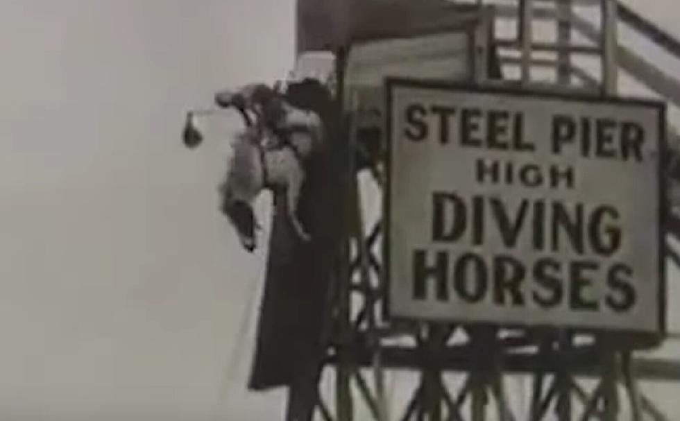 Video Retraces History of Atlantic City’s Diving Horses