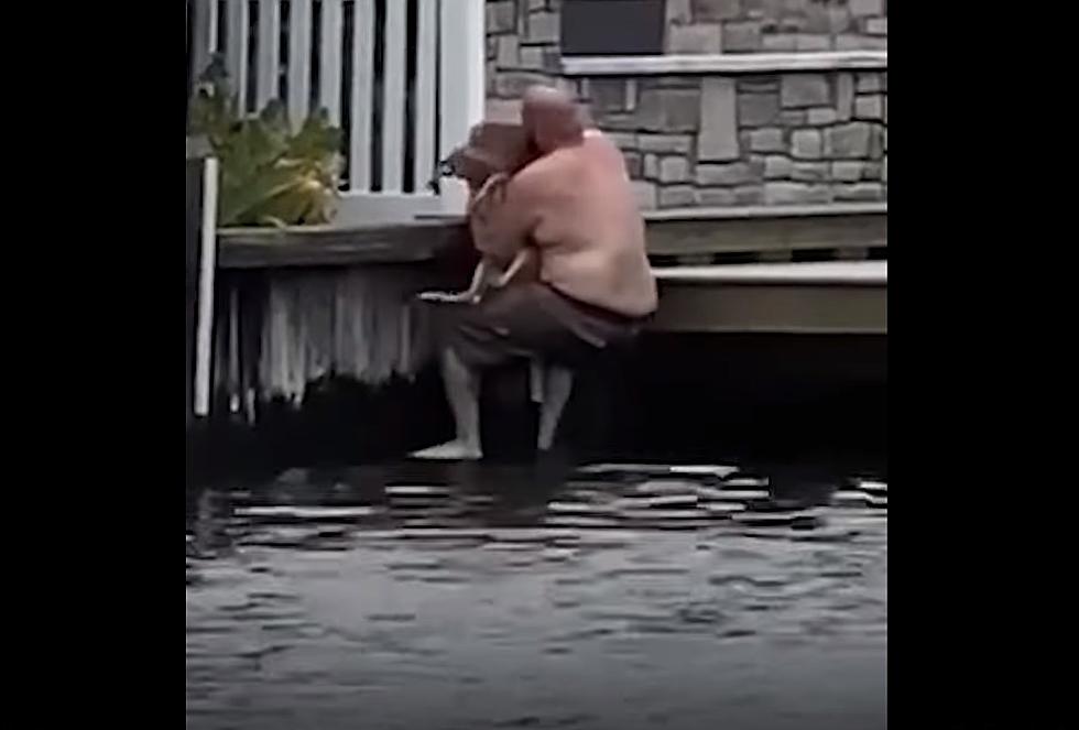 VIDEO: Toms River Man Jumps Into Lagoon To Save Baby Deer