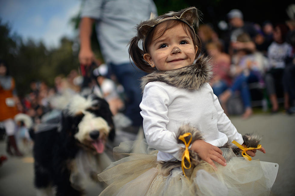 Spend Halloween Morning Parading With The Animals At Mays Landing, NJ’s Funny Farm