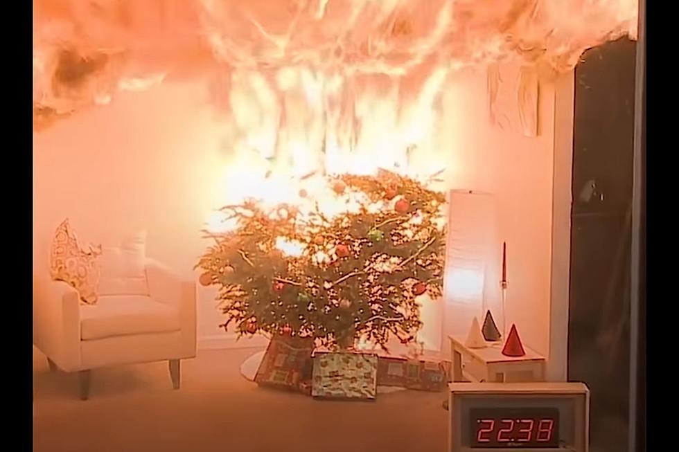 Wild Footage Shows Why It’s Time For South Jersey To Ditch The Christmas Trees