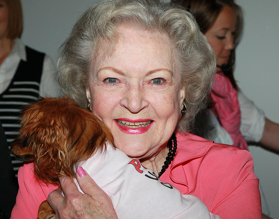 NJ Animal Shelters Report Their Progress In Betty White Challenge