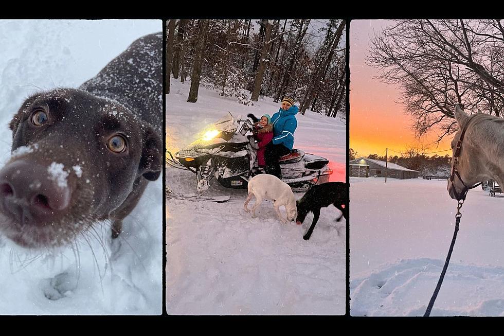 Take A Look At How South Jersey's Enjoying The Snow