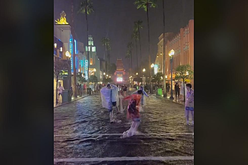 Watch Disney World Guests Splash In Flood Waters Like Jersey Shore