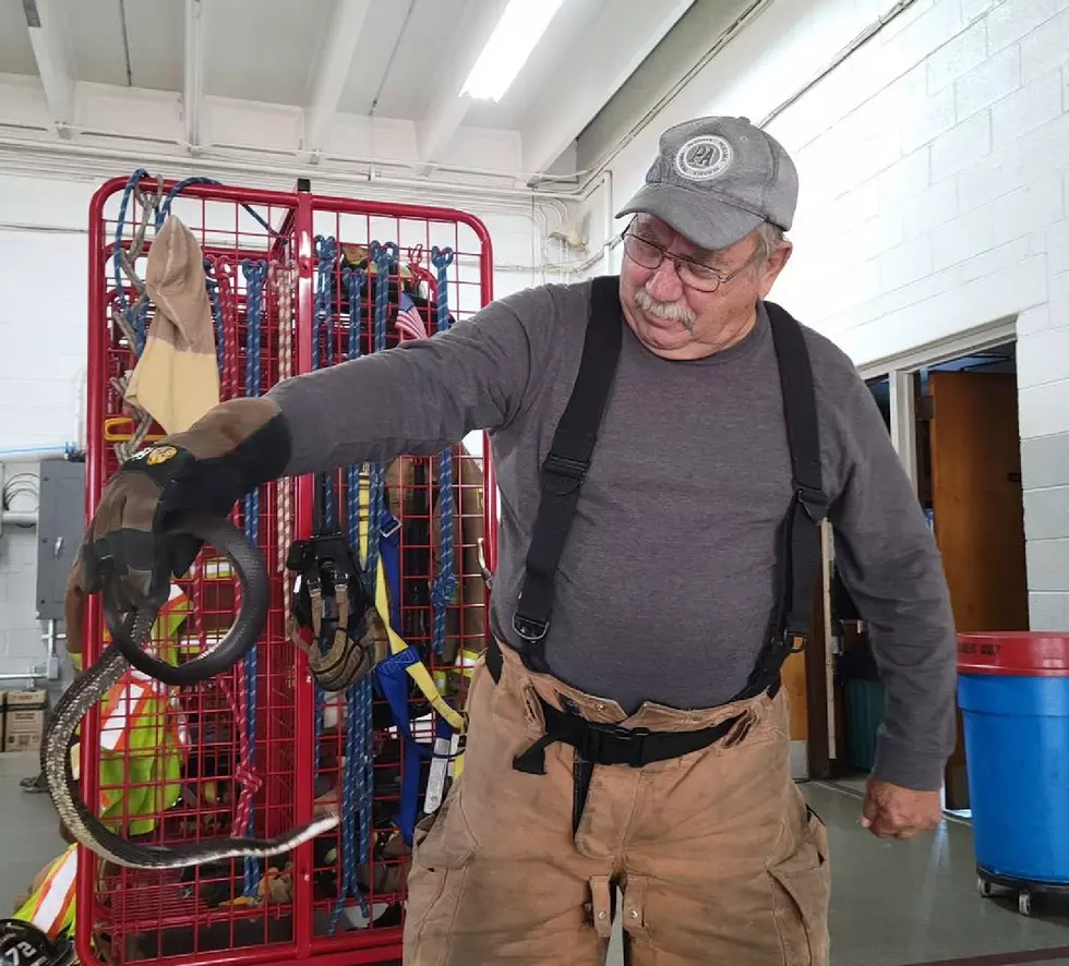 NJ firefighter surprised by snake — and it bites!