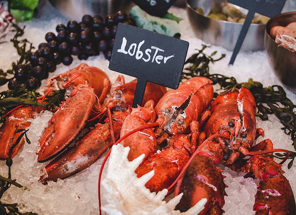 The Surprisingly Best Place for Lobster Bisque in South Jersey