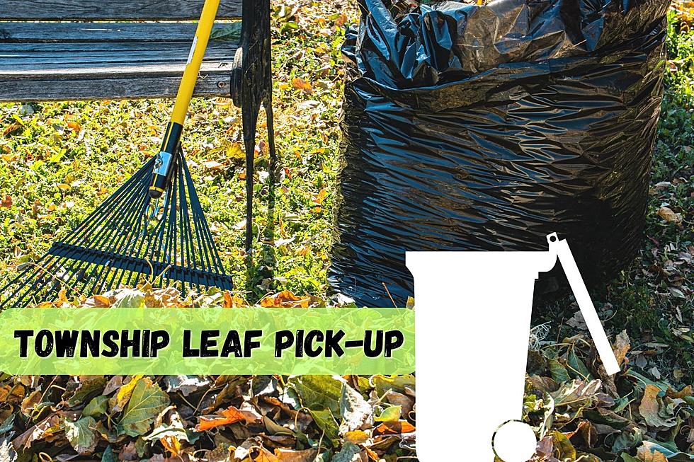 Leaves To The Curb! Collections Start This Week In Galloway, NJ