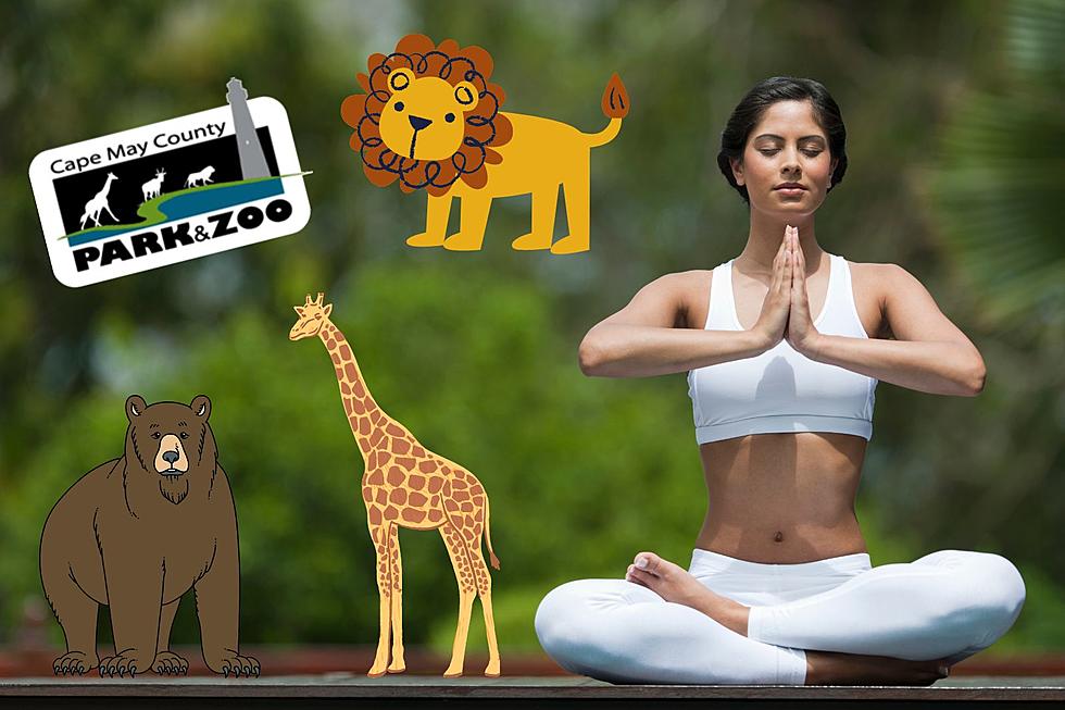 Start Off MDW With Animals & A Good Stretch: Yoga At The Cape May Zoo!