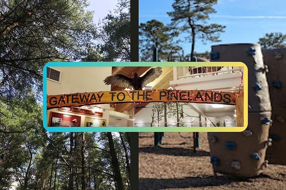 Toddlers Will LOVE This Pine Barren-Themed Museum In NJ