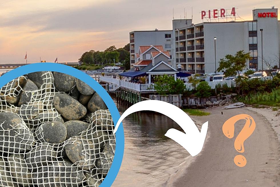 Why Are There Nets Over Rocks On Somers Point, NJ, Beach?