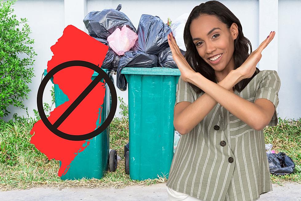It Is Completely Illegal To Throw Out These Items in NJ