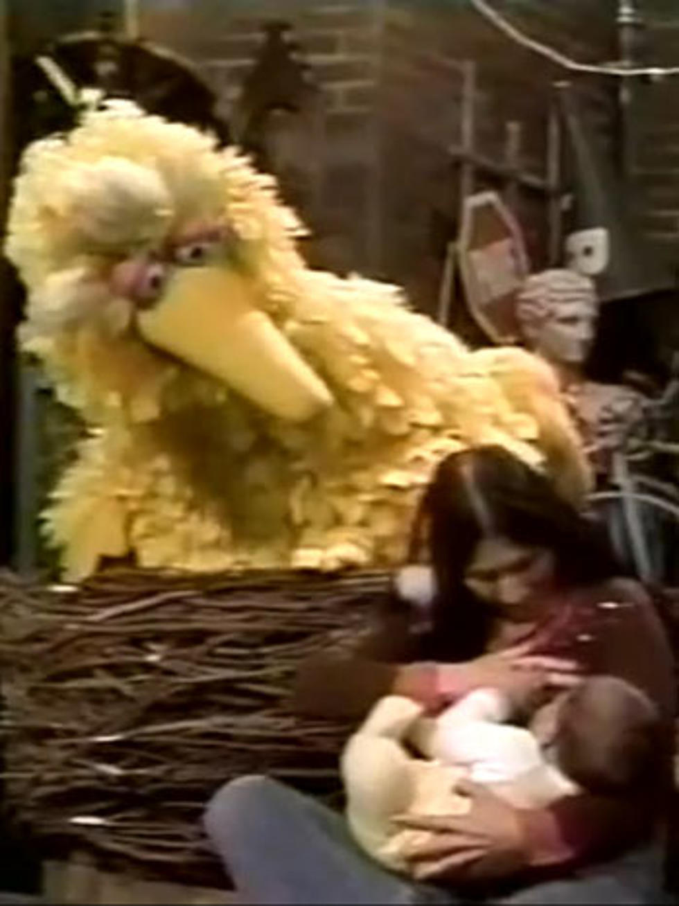 Should Sesame Street Feature Breastfeeding Again? [POLL]
