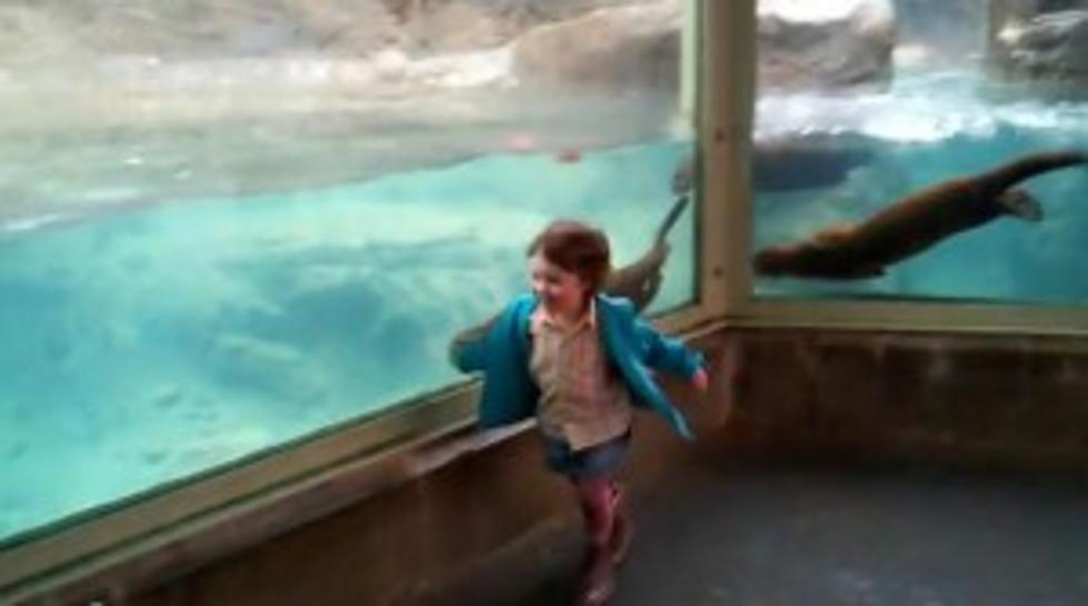 Little Girl at Philly Zoo Video is &#8220;Otter-ly&#8221; Adorable [VIDEO]