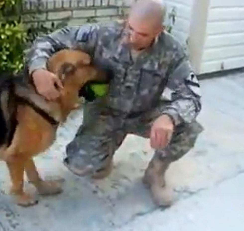 Heartwarming Video Of The Week: A Dog Is Reunited With His Military Master