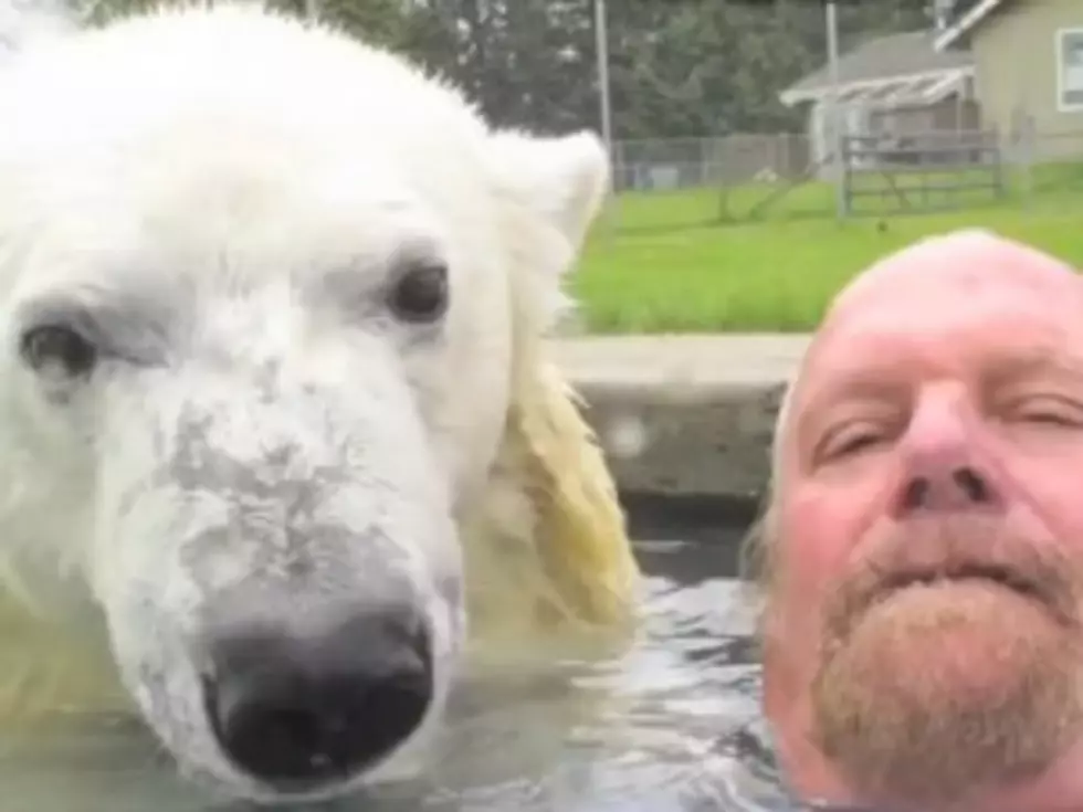 Video Of The Weekend: Only Man Who Can Swim With A Polar Bear