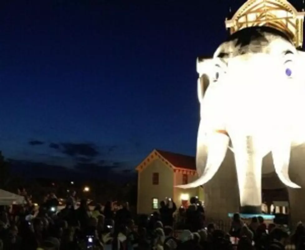 Lighting Up Lucy to Mark Sandy Anniversary [VIDEO/PHOTOS]