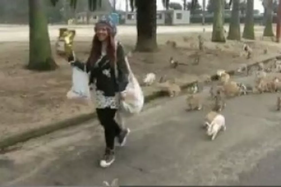 Why is This Women Being Chased By a Pack of Wild Bunnies? [VIDEO]