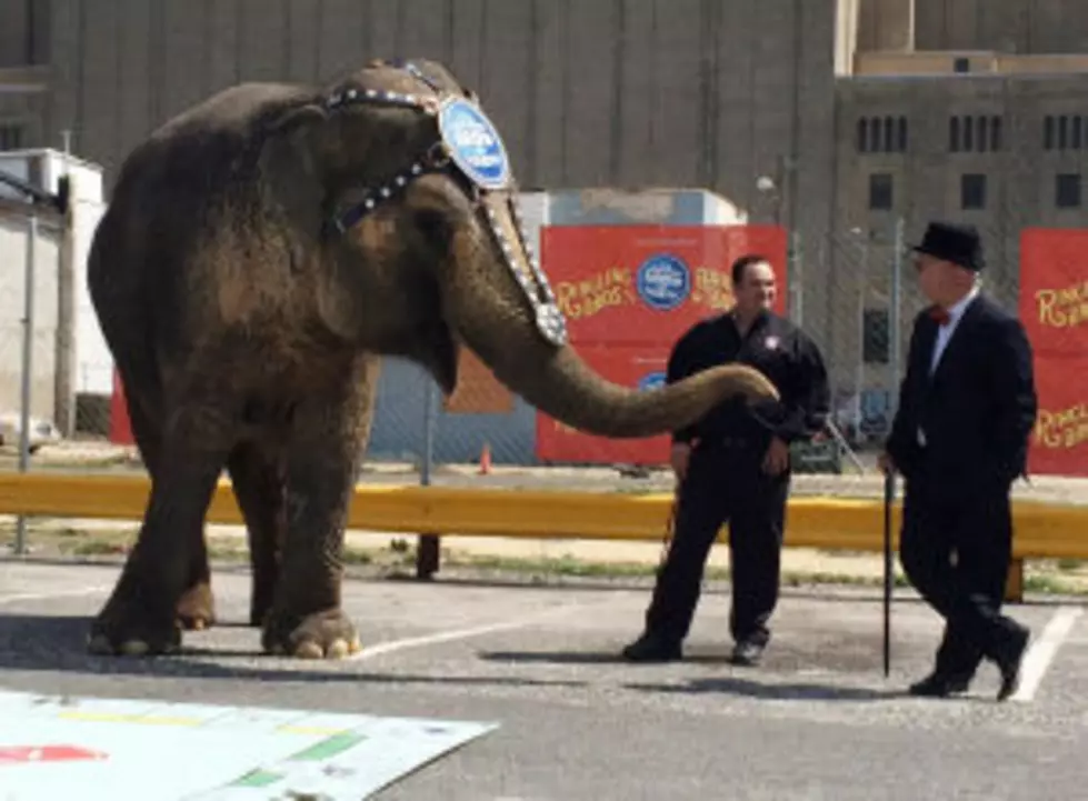 Atlantic City Mayor Beats Elephant in Monopoly Match