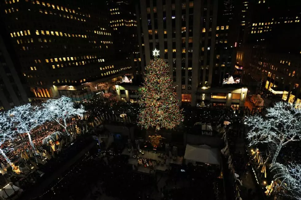 2015 Rockefeller Christmas Tree Starts Trek to NYC [VIDEO]