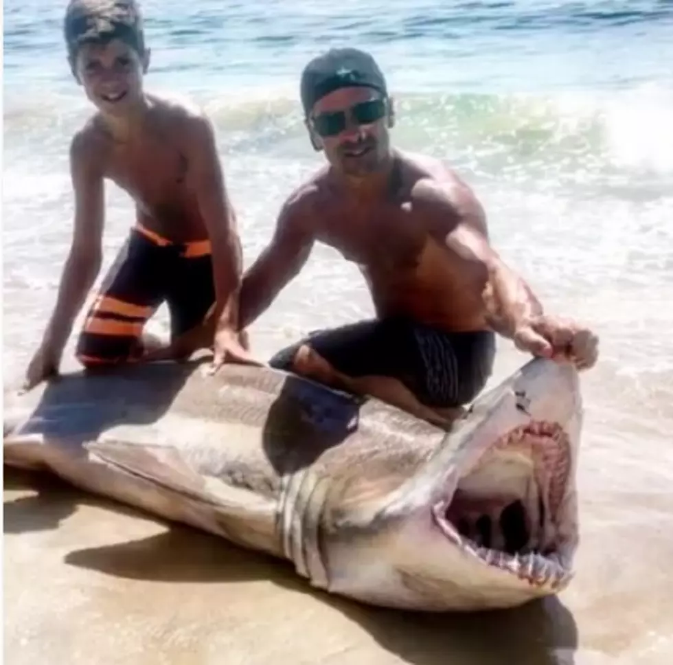 Watch as a Boy Catches Shark on Beach in LBI