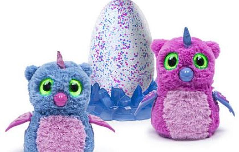 Toys R Us Will Have Hatchimals on Sunday