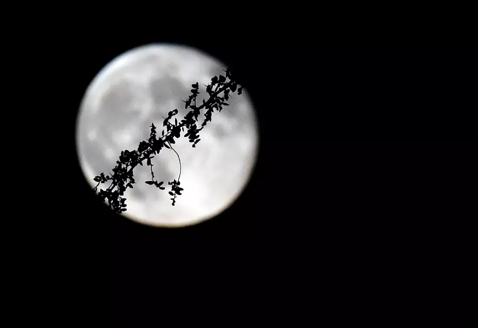 New Jersey Can Expect to See 13 Full Moons in 2020