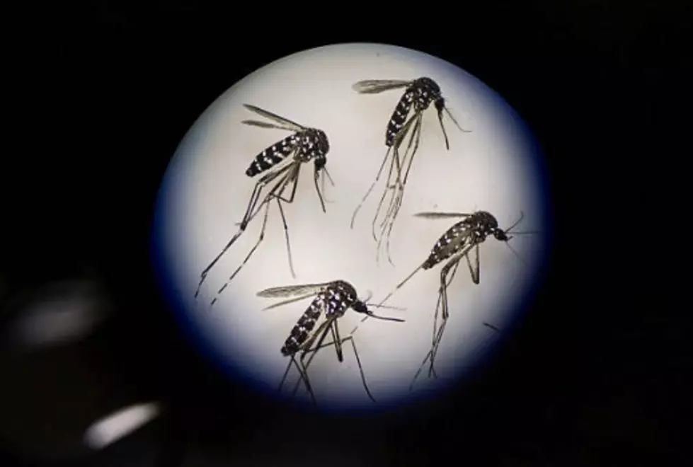 After Positive West Nile Tests, Mosquito Spraying Set for Tuesday