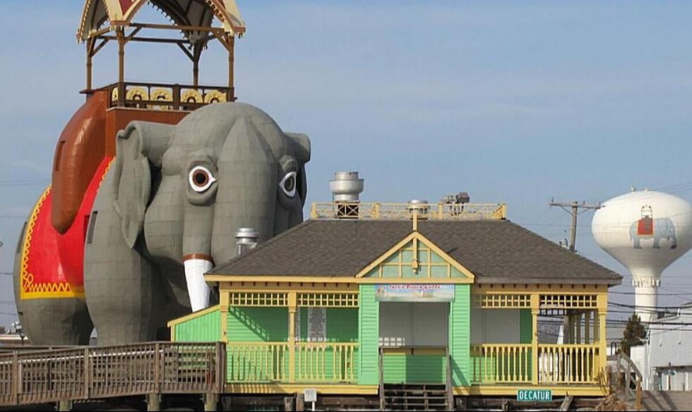 Lucy the Elephant Leaving Margate? Here's What's Behind the Rumor
