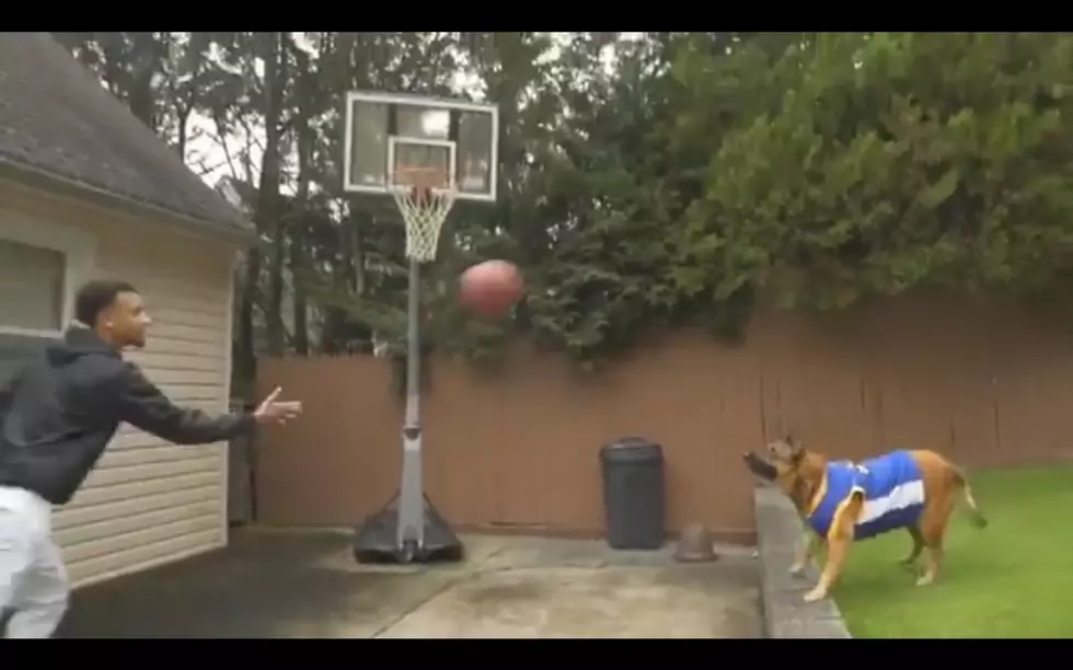 OMG! Watch Dog Get Assist on the Shot of the Year
