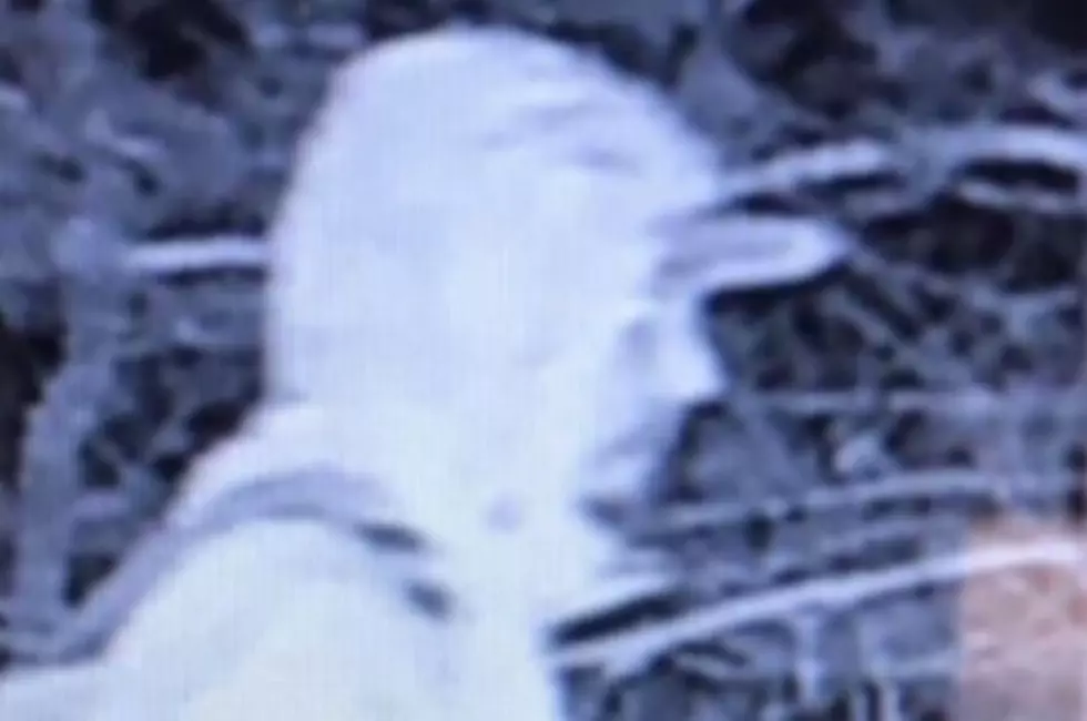 Little Egg Harbor Police Ask for Help ID’ing Car Burglar
