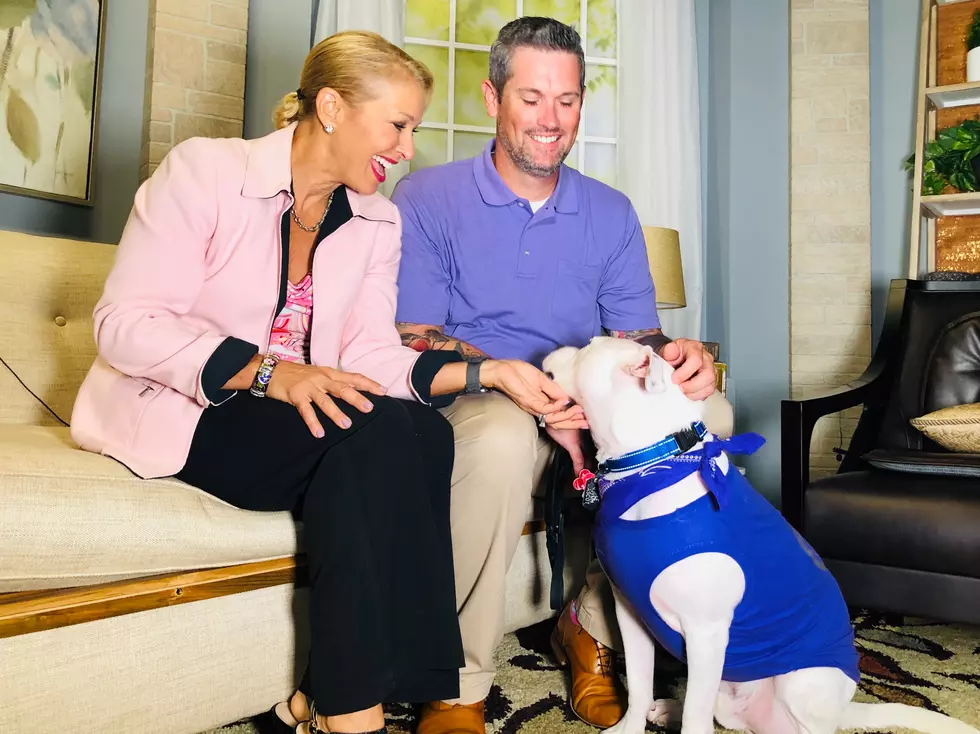 Meet Cole the Deaf Therapy Dog! (WATCH) 