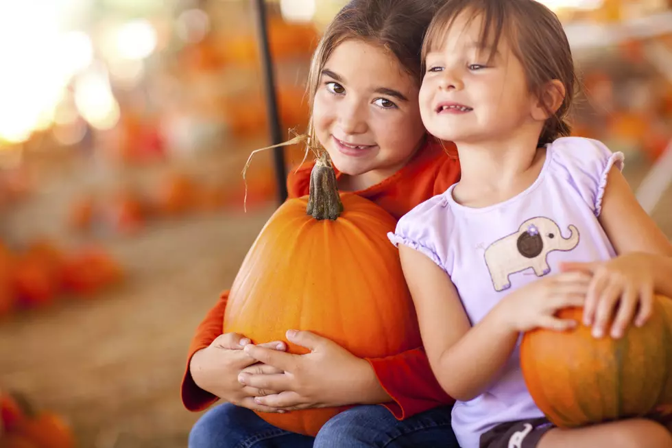 Pumpkins - The Fall Season's Healthiest Treat