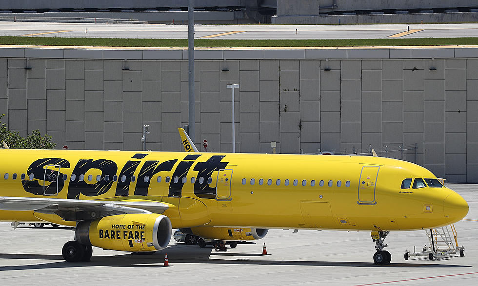 Animation Possibly Shows What the Atlantic City, NJ, Spirit Airlines Bird Strike Looked Like