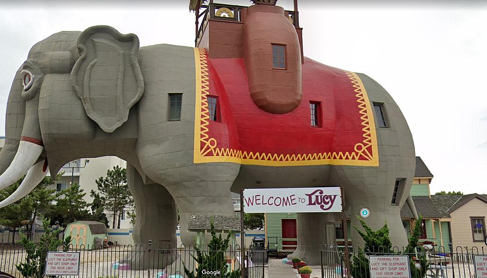 Lucy The Elephant Temporarily Closing for Makeover